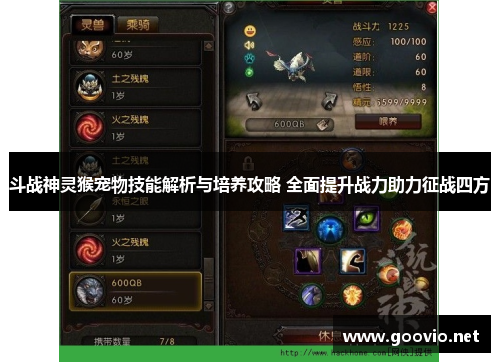 斗战神灵猴宠物技能解析与培养攻略 全面提升战力助力征战四方
