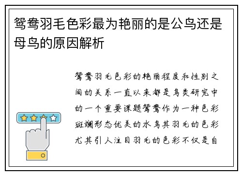 鸳鸯羽毛色彩最为艳丽的是公鸟还是母鸟的原因解析